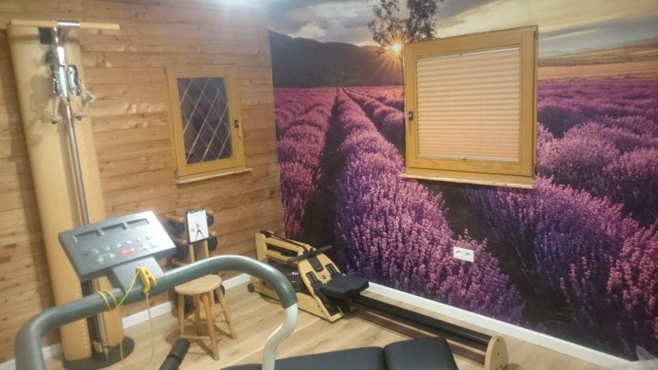 Eifelyeti Ferienwohnung Ellscheid エクステリア 写真